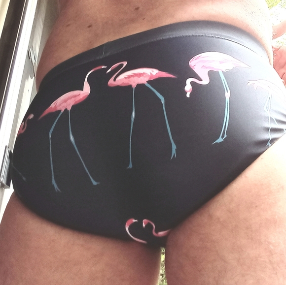 Men's navy with pink flamingos bikini swimming suit - Picture 7 of 7